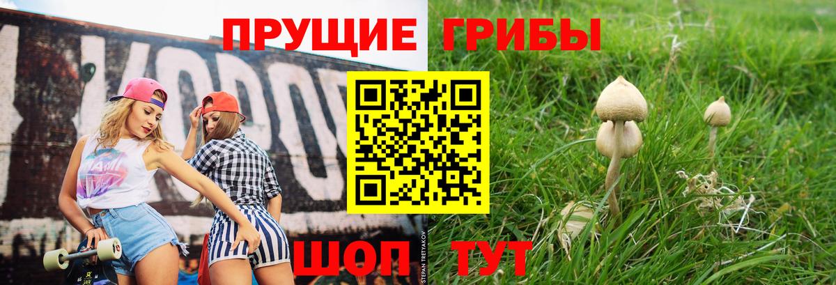Галлюциногенные грибы GOLDEN TEACHER Электросталь